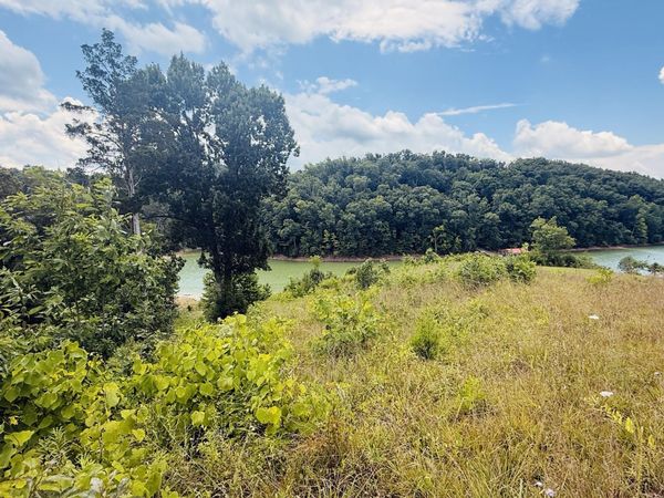 5 Stone Cove Way, Dandridge, TN 37725