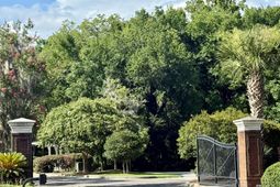 410 Carolina Cherry Court photo 4