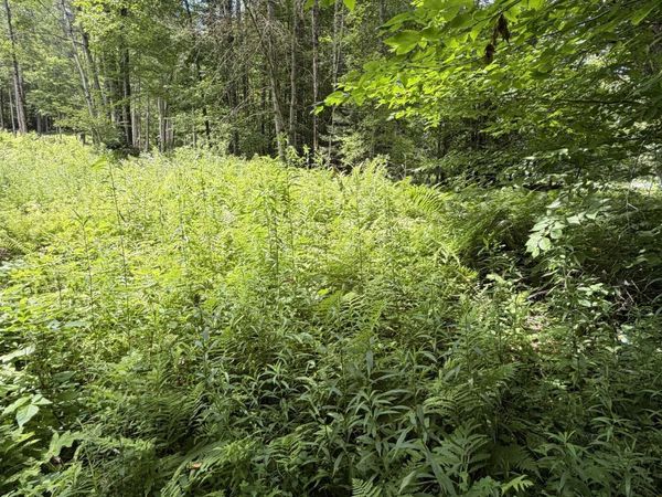 100 Ledge Road, Lisbon, NH 03585