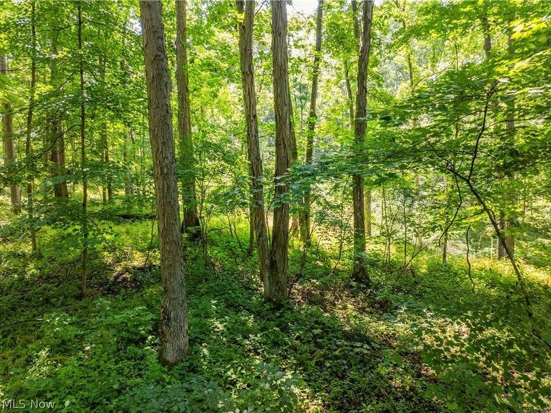Lot 7 Township Rd 51, Somerset, OH 43783 Photo 14