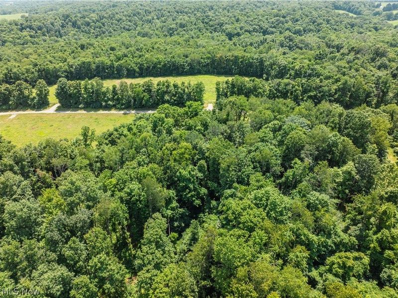 Lot 7 Township Rd 51, Somerset, OH 43783 Photo 7