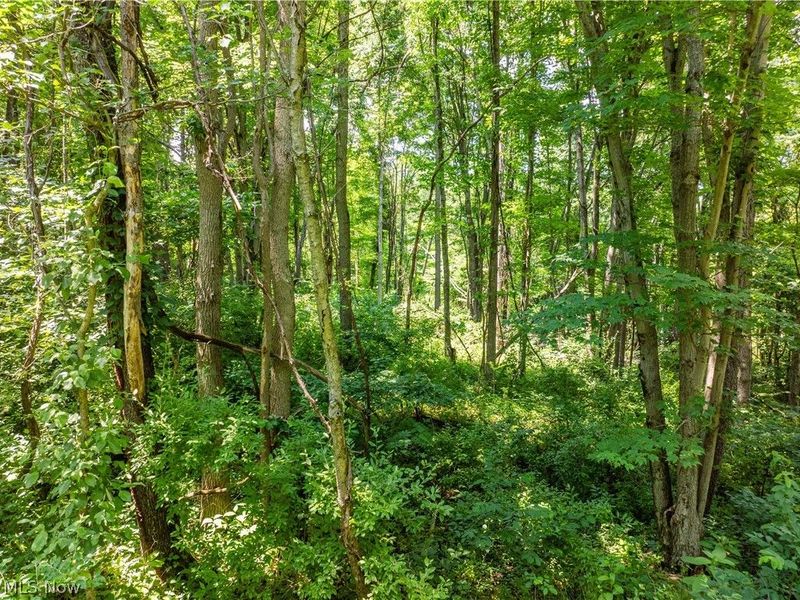 Lot 7 Township Rd 51, Somerset, OH 43783 Photo 9