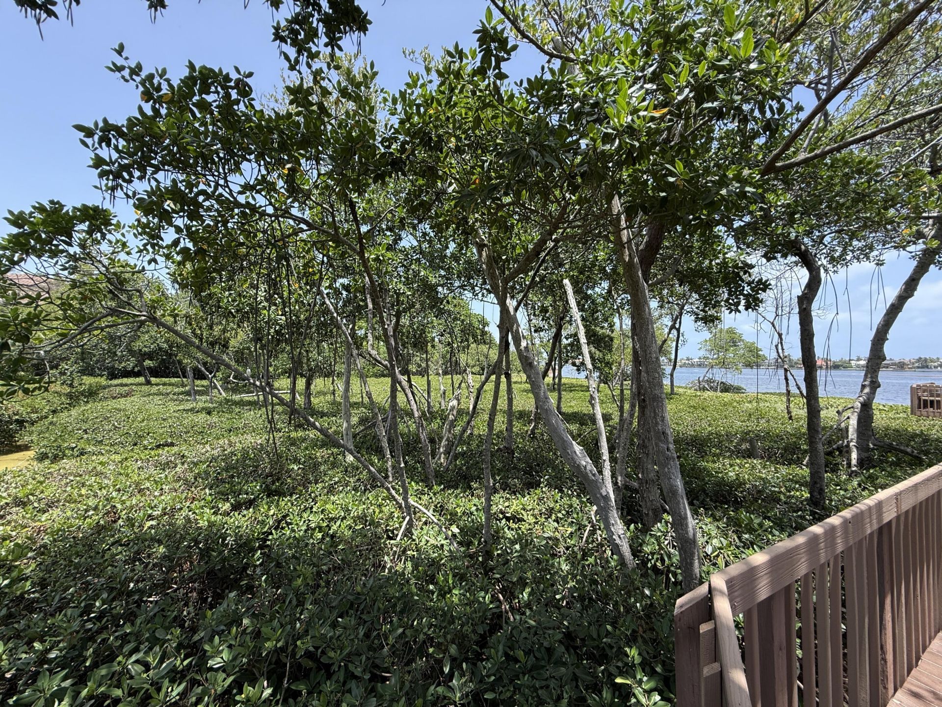 225 N Lakeshore Drive, Hypoluxo, FL 33462 Photo
