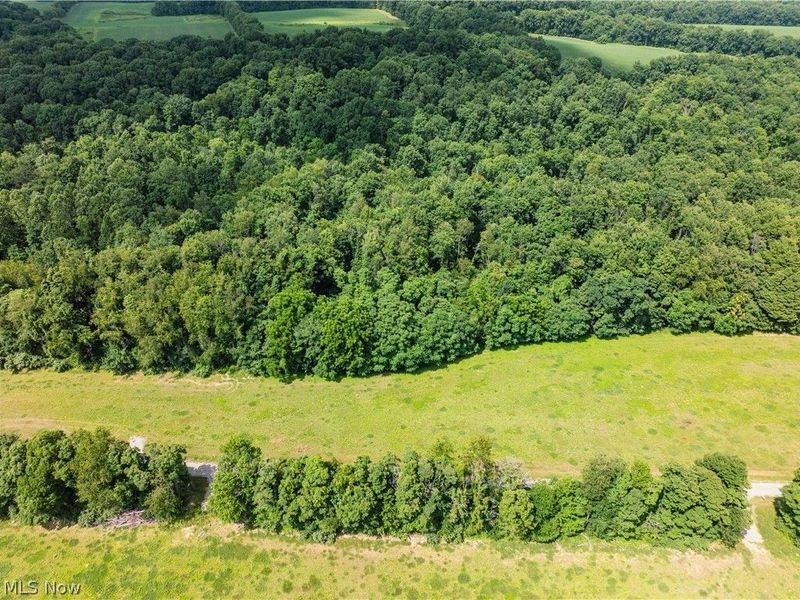 Lot 8 Township Rd 51, Somerset, OH 43783 Photo 13