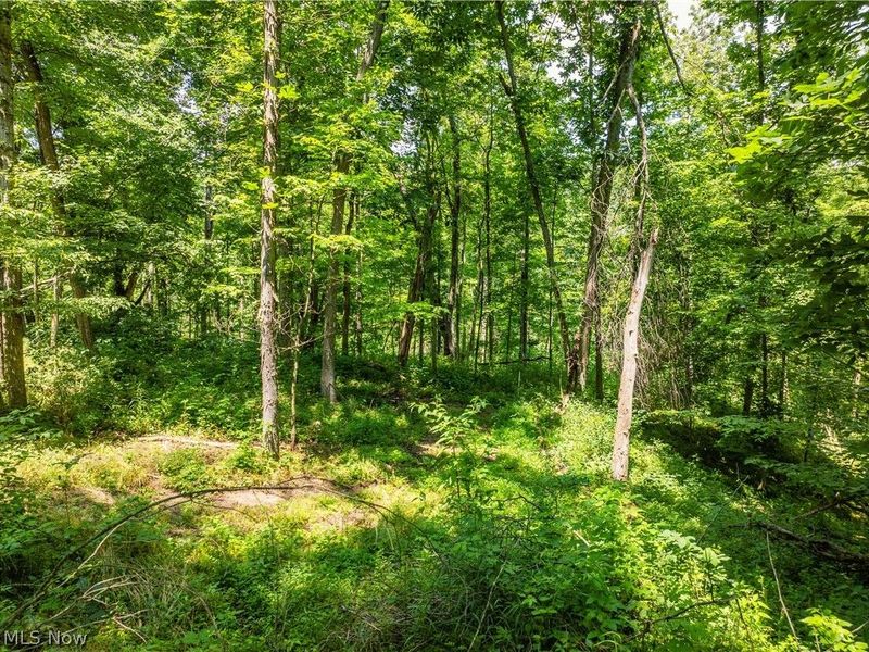 Lot 8 Township Rd 51, Somerset, OH 43783 Photo 3