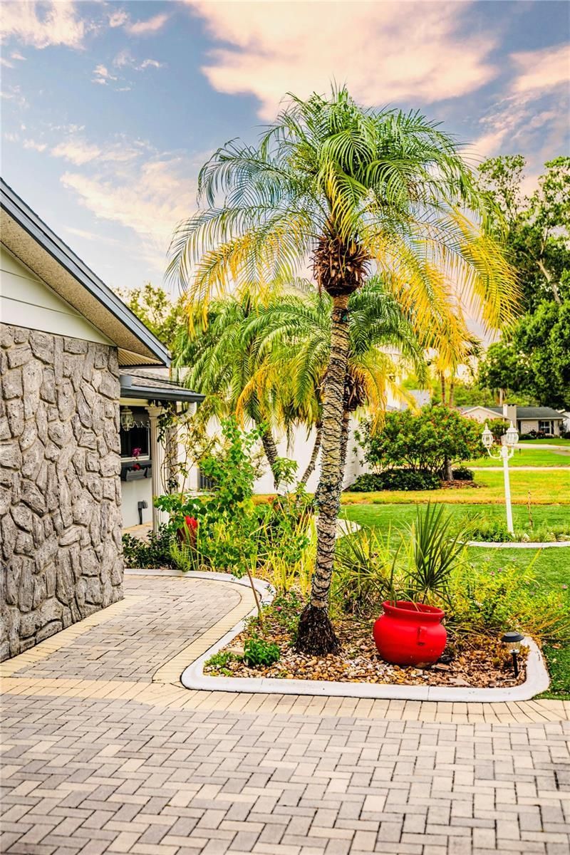 898 Corvette Drive, Largo, FL 33771 Photo
