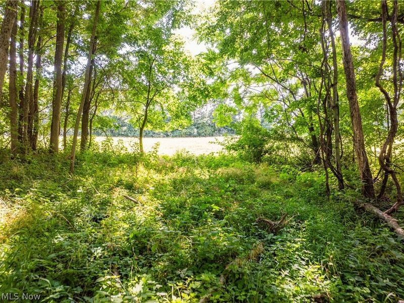 Lot 9 Township Rd 51, Somerset, OH 43783 Photo 18