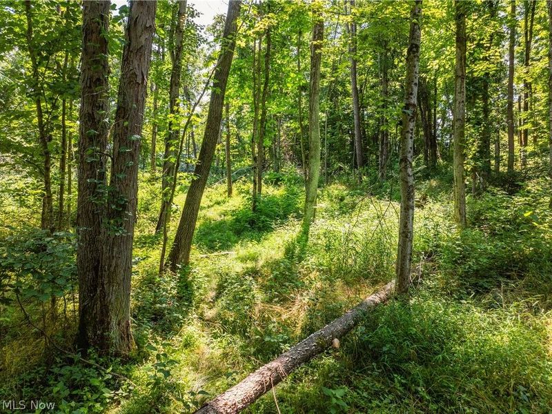 Lot 9 Township Rd 51, Somerset, OH 43783 Photo 4