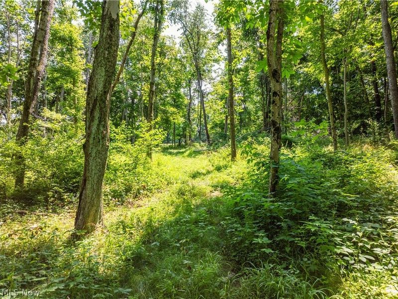 Lot 9 Township Rd 51, Somerset, OH 43783 Photo 6