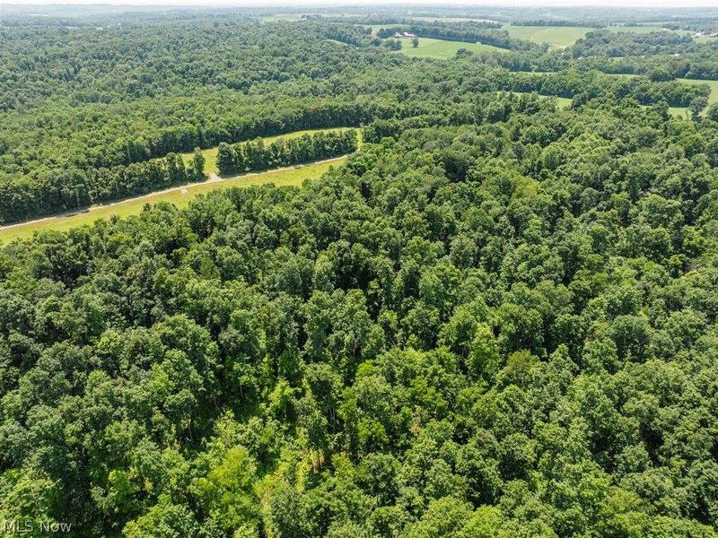 Lot 9 Township Rd 51, Somerset, OH 43783 Photo 8