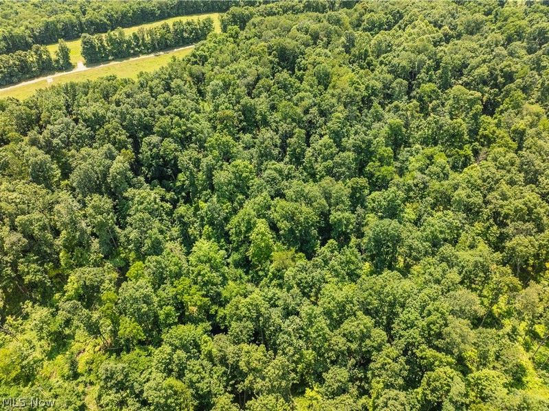 Lot 9 Township Rd 51, Somerset, OH 43783 Photo 9