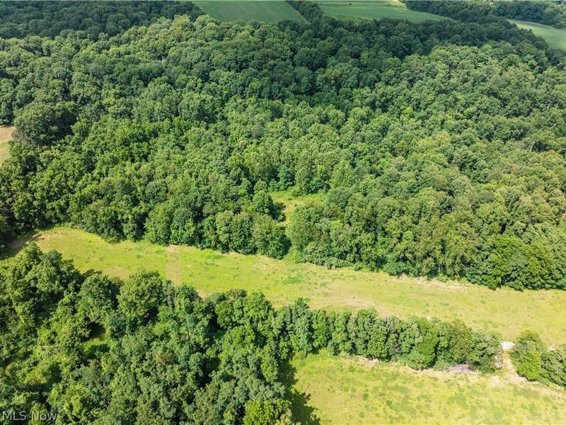 Lot 10 Township Rd 51, Somerset, OH 43783 Photo 12