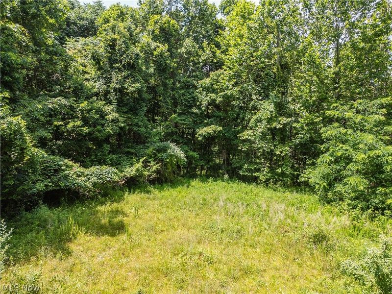 Lot 10 Township Rd 51, Somerset, OH 43783 Photo 6
