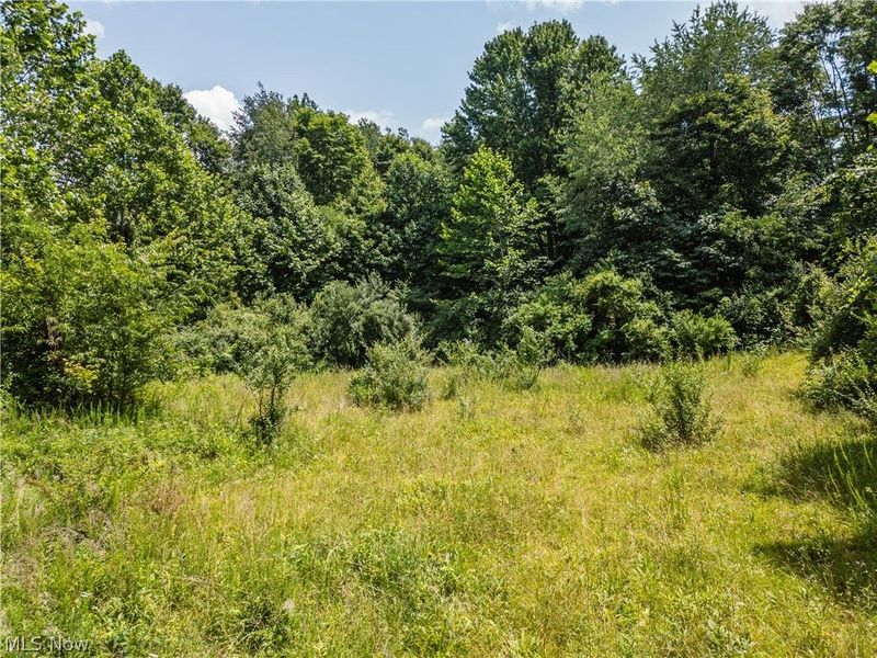 Lot 10 Township Rd 51, Somerset, OH 43783 Photo 7