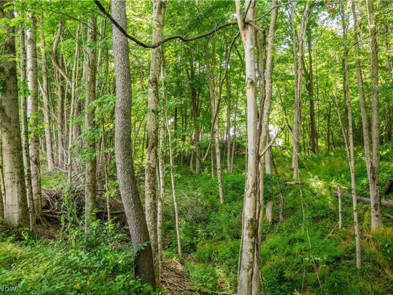 Lot 11 TOwnship Rd 51, Somerset, OH 43783 Photo 10