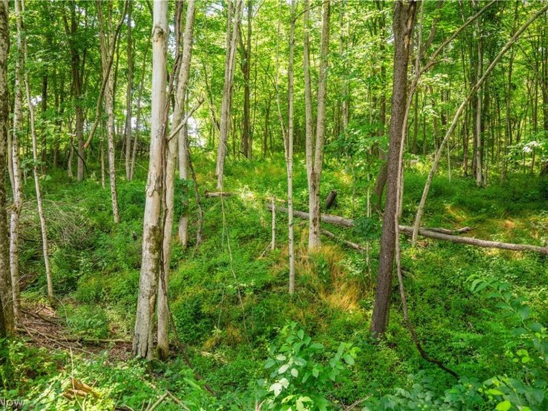 Lot 11 TOwnship Rd 51, Somerset, OH 43783 Photo 11
