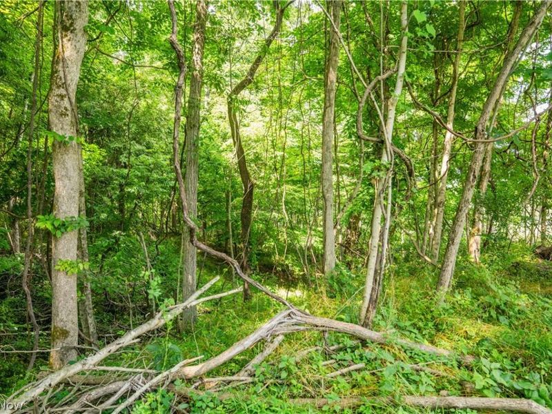 Lot 11 TOwnship Rd 51, Somerset, OH 43783 Photo 12