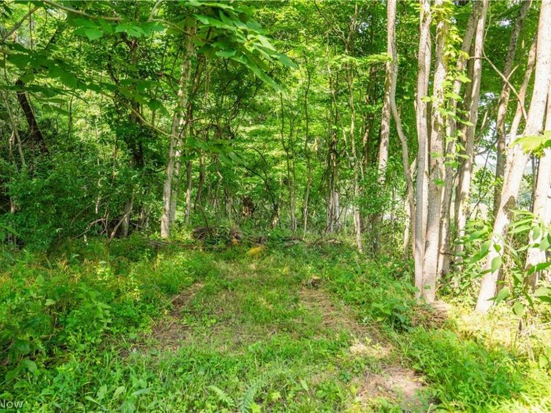 Lot 11 TOwnship Rd 51, Somerset, OH 43783 Photo 13