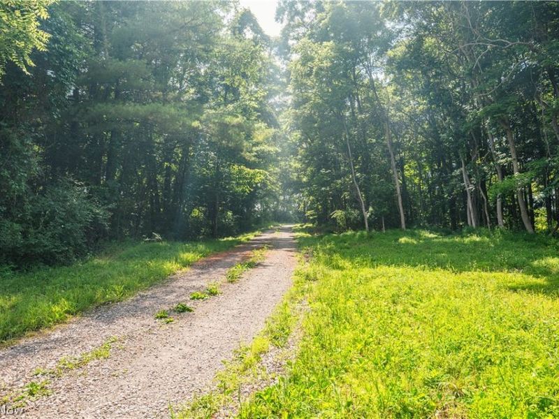 Lot 11 TOwnship Rd 51, Somerset, OH 43783 Photo 14