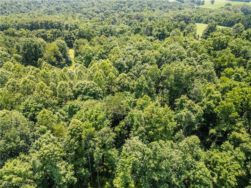 Lot 11 TOwnship Rd 51, Somerset, OH 43783 Photo 3