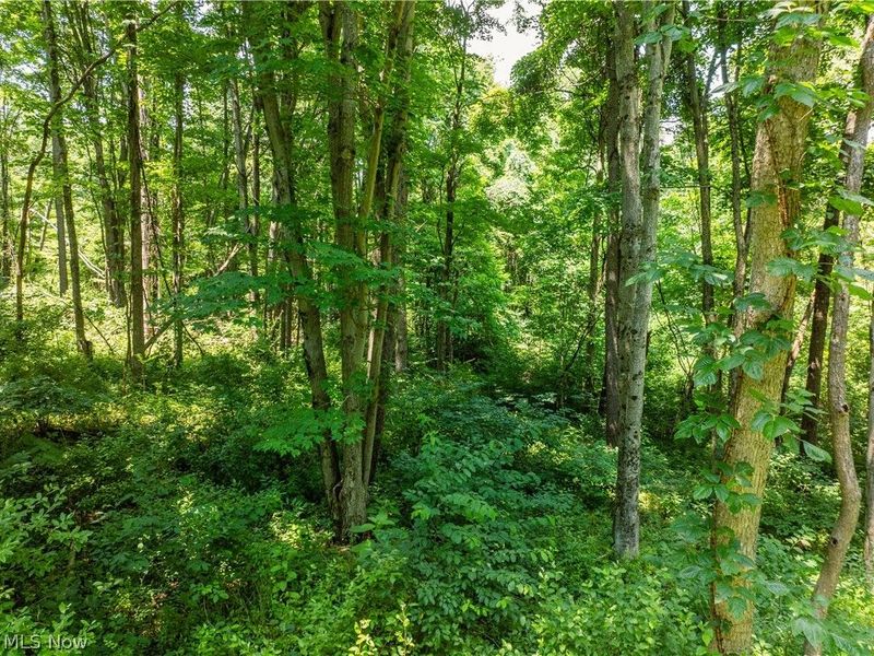 Lot 11 TOwnship Rd 51, Somerset, OH 43783 Photo 5