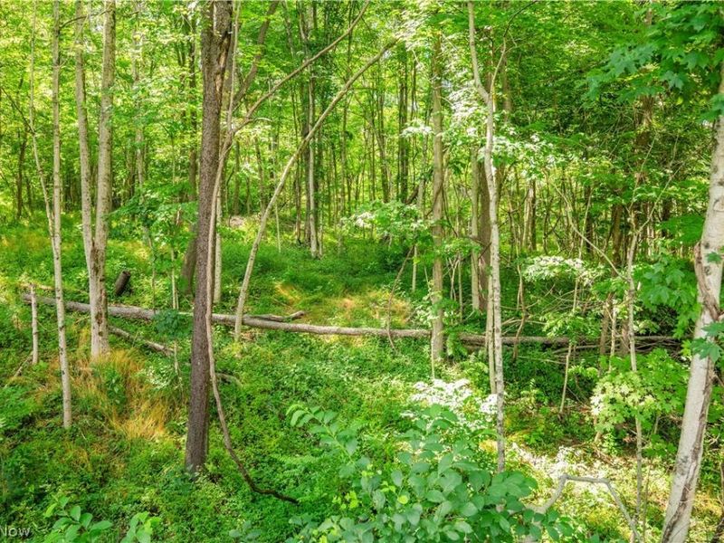 Lot 11 TOwnship Rd 51, Somerset, OH 43783 Photo 9