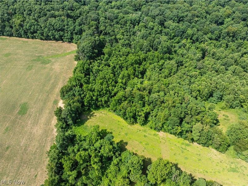 Lot 12 TOwnship Rd 51, Somerset, OH 43783 Photo 11