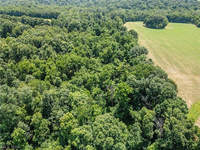 Lot 12 TOwnship Rd 51, Somerset, OH 43783 Photo 3