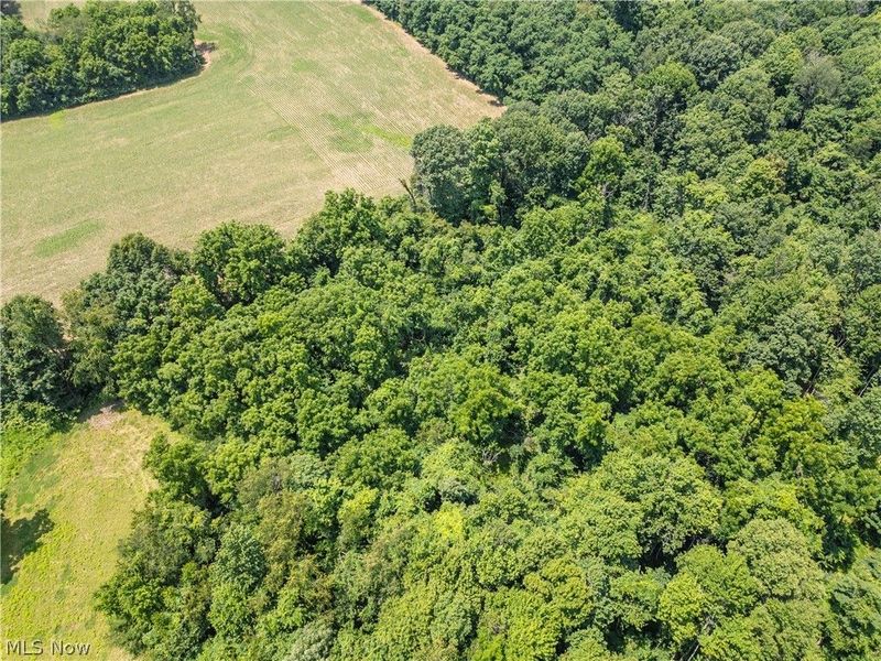 Lot 12 TOwnship Rd 51, Somerset, OH 43783 Photo 4
