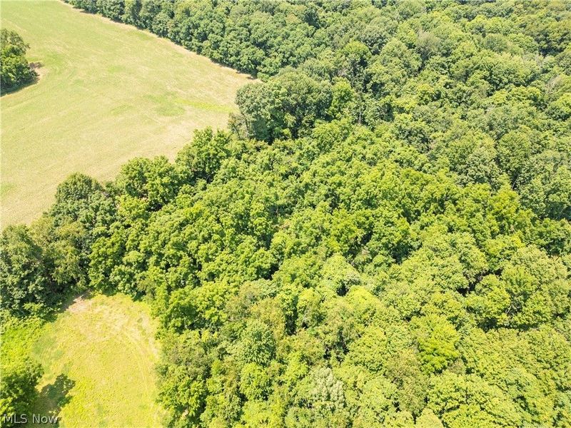 Lot 12 TOwnship Rd 51, Somerset, OH 43783 Photo 5