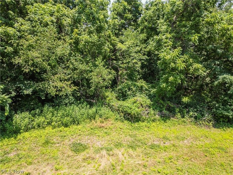 Lot 12 TOwnship Rd 51, Somerset, OH 43783 Photo 6