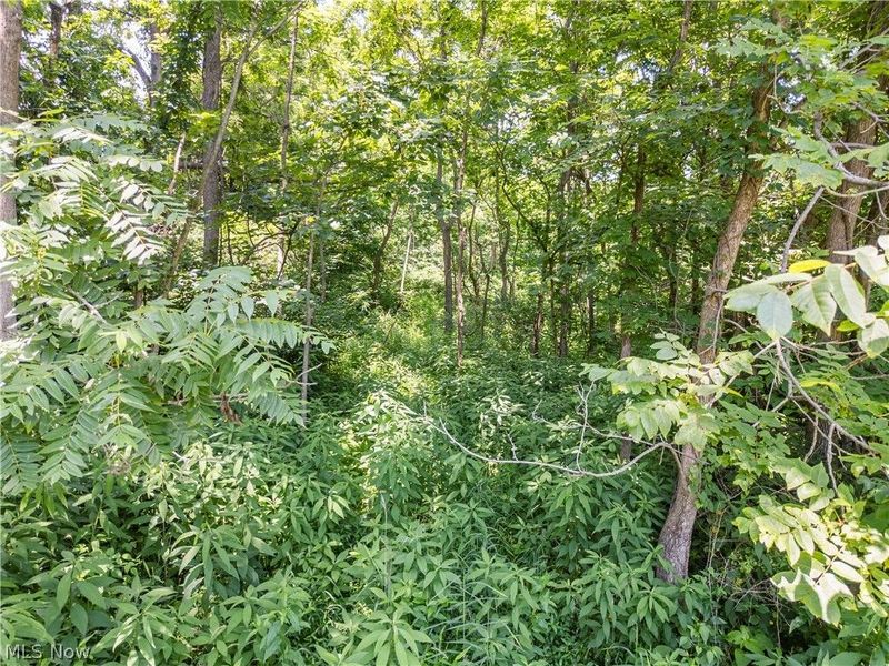 Lot 12 TOwnship Rd 51, Somerset, OH 43783 Photo 7