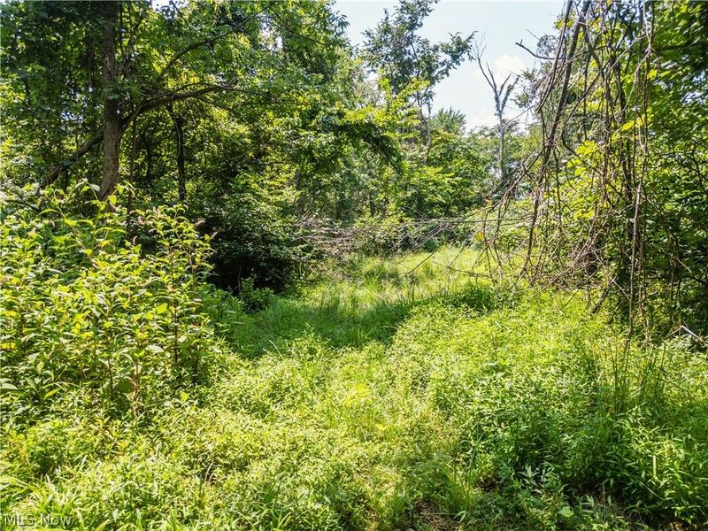 Lot 13 Township Rd 51, Somerset, OH 43783 Photo 2