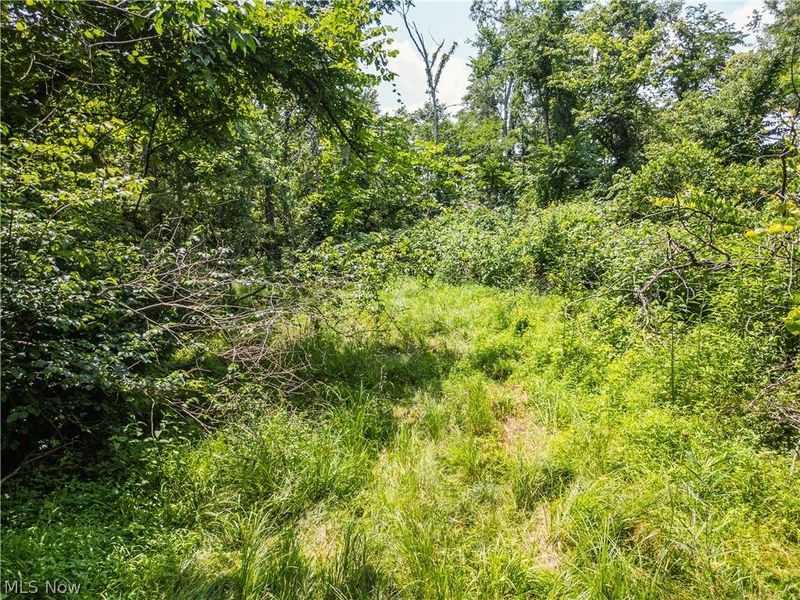Lot 13 Township Rd 51, Somerset, OH 43783 Photo 3