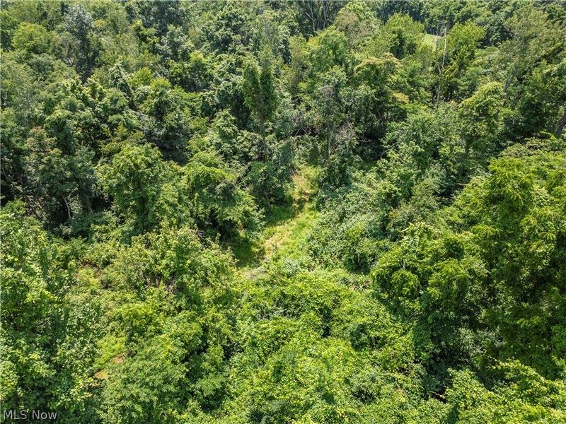 Lot 13 Township Rd 51, Somerset, OH 43783 Photo 4