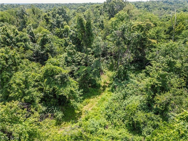 Lot 13 Township Rd 51, Somerset, OH 43783 Photo 5