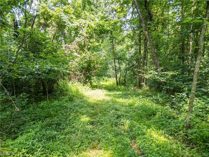 Lot 13 Township Rd 51, Somerset, OH 43783 Photo 6