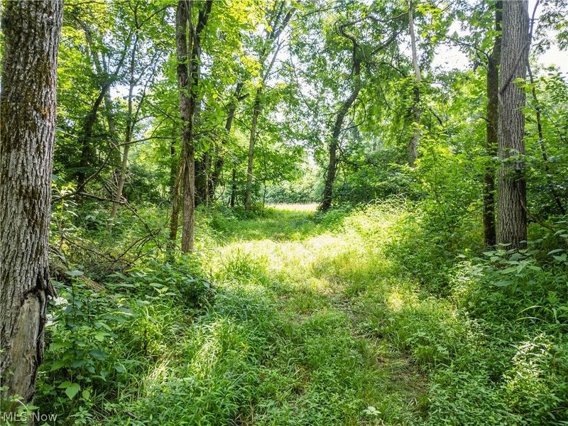 Lot 13 Township Rd 51, Somerset, OH 43783 Photo 7