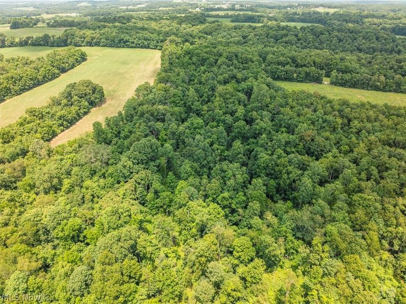 Lot 13 Township Rd 51, Somerset, OH 43783 Photo 8