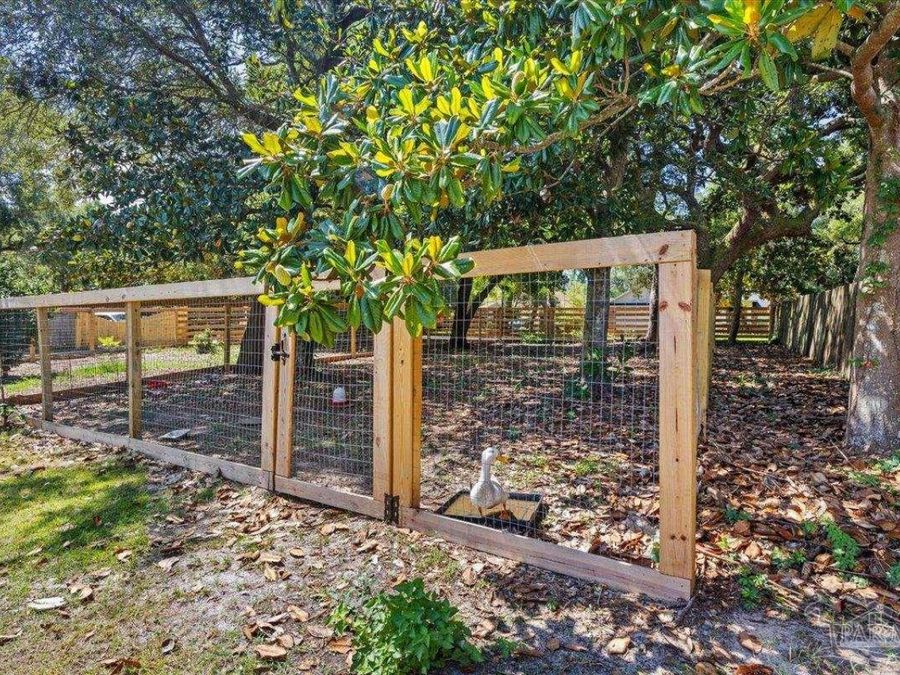 Property Image 61