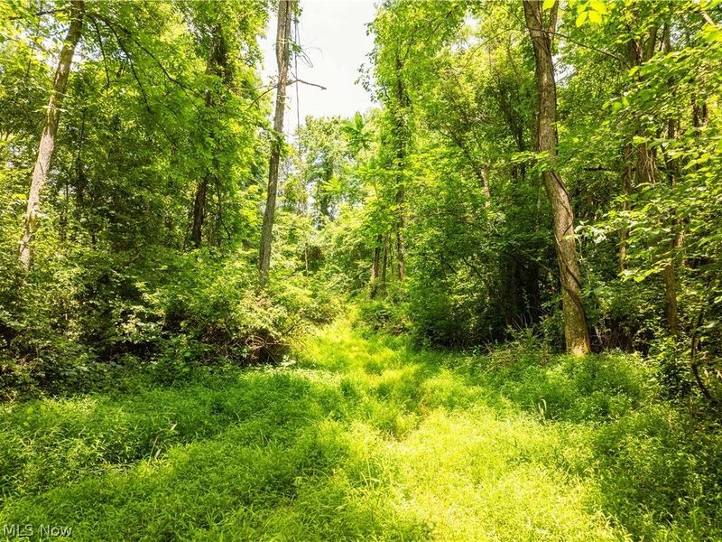 Lot 14 Township Rd 51, Somerset, OH 43783 Photo 9