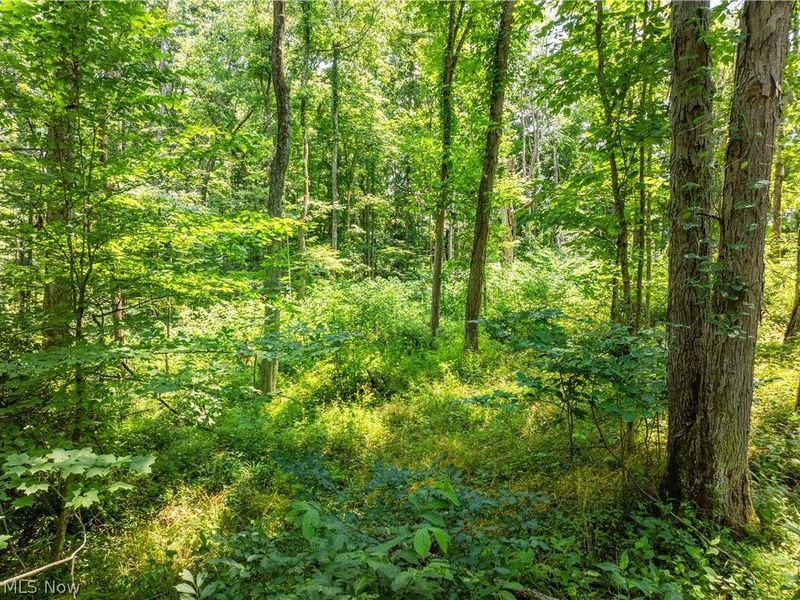 Lot 15 Township Rd 51, Somerset, OH 43783 Photo 13