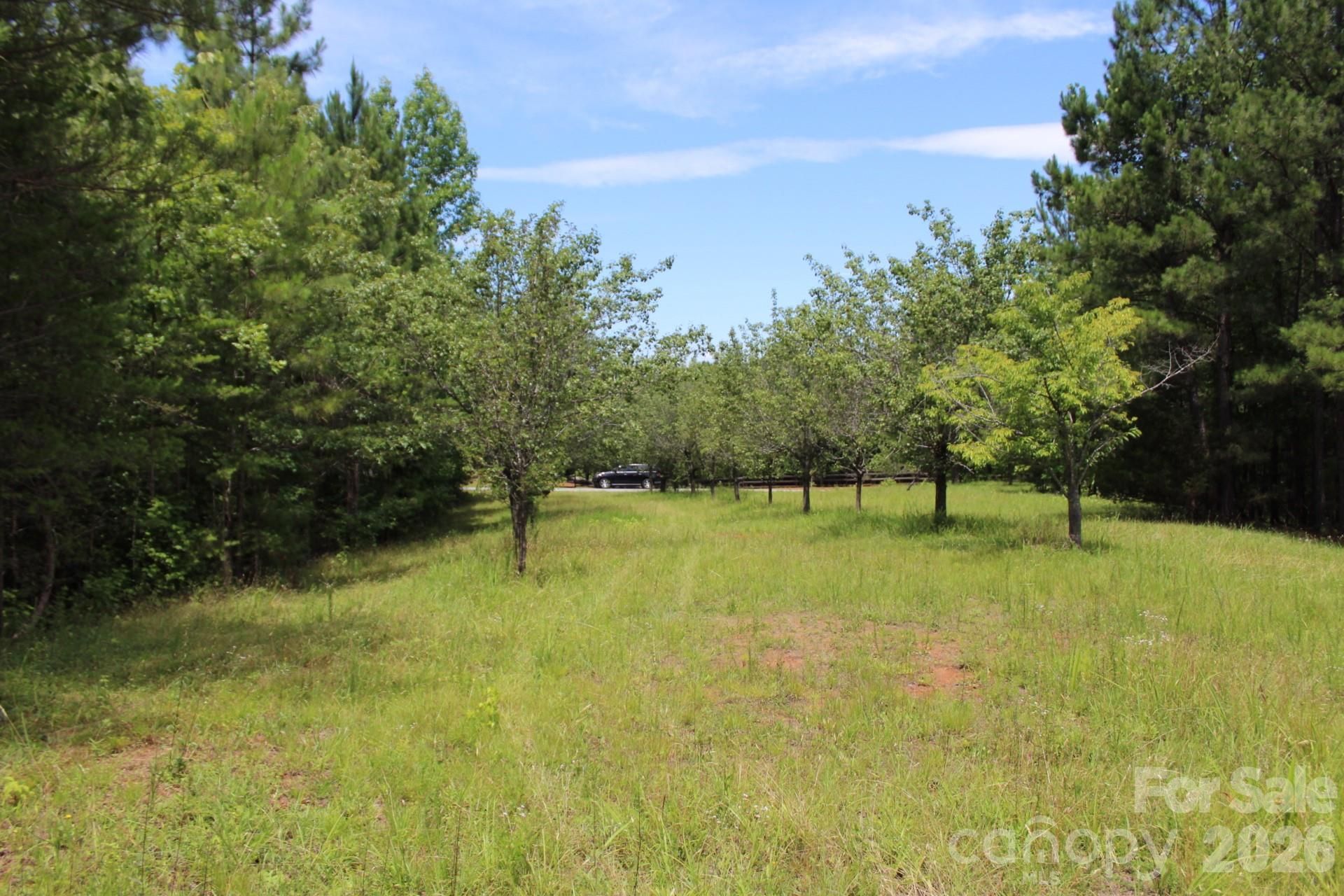 000 John Watson Road, Rutherfordton, NC 28139 Main Photo