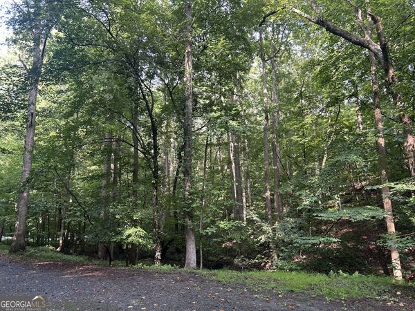 0 Shiloh Court, Unit #132, Ellijay, GA 30540