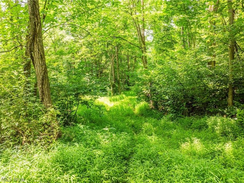 Lot 17 Township Rd 51, Somerset, OH 43783 Photo 11