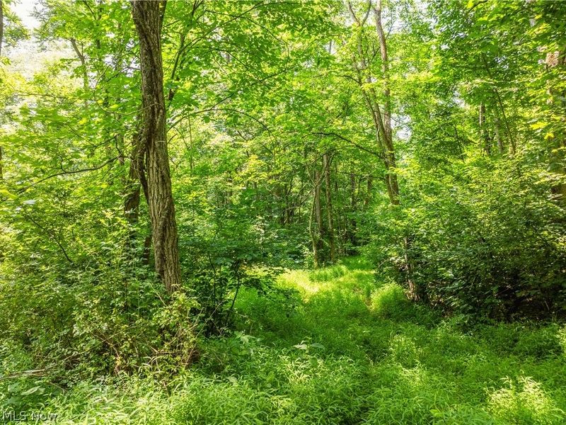 Lot 17 Township Rd 51, Somerset, OH 43783 Photo 12