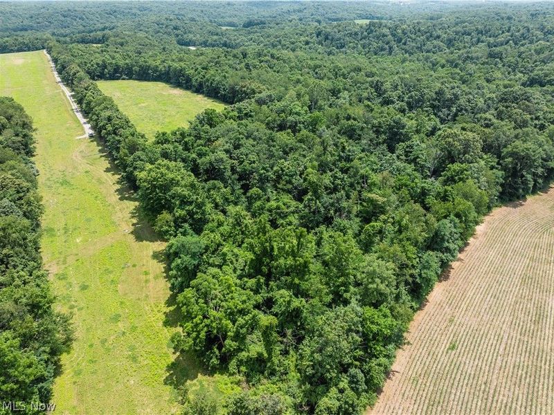 Lot 17 Township Rd 51, Somerset, OH 43783 Photo 15
