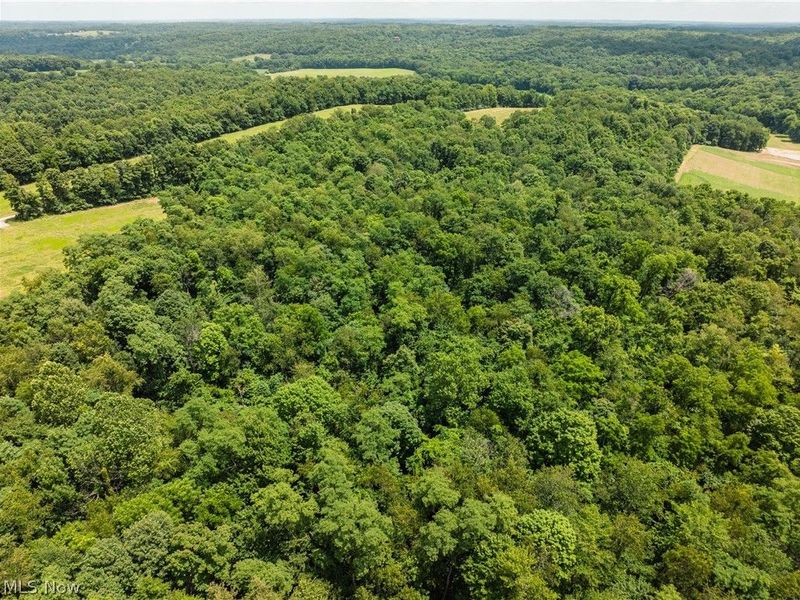 Lot 17 Township Rd 51, Somerset, OH 43783 Photo 3