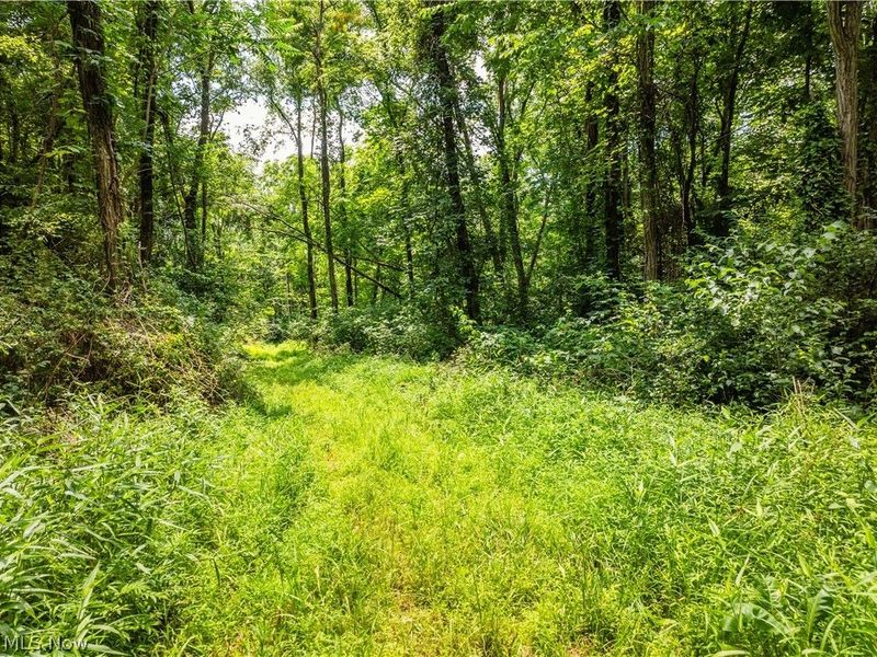 Lot 17 Township Rd 51, Somerset, OH 43783 Photo 9