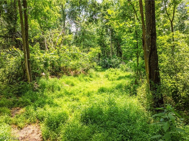 Lot 18 Township Rd 51, Somerset, OH 43783 Photo 12